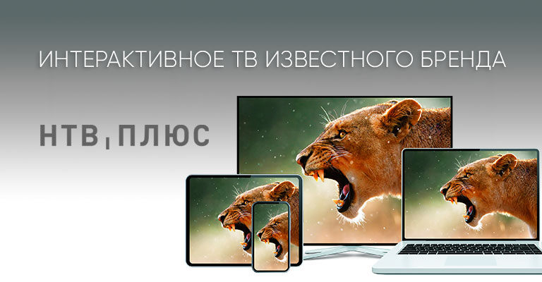 НТВ-ПЛЮС ТВ