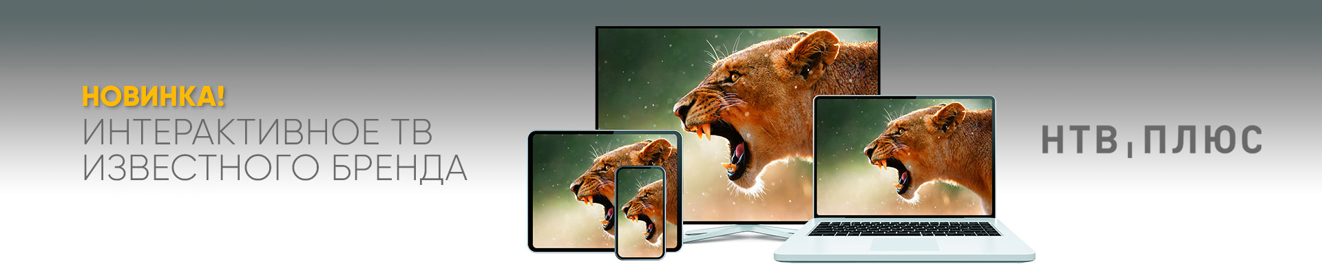 НТВ-ПЛЮС ТВ